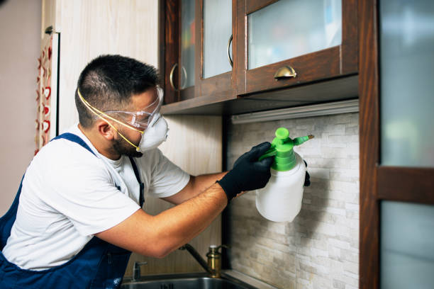 Best Wildlife Control Services  in South San Jose Hills, CA