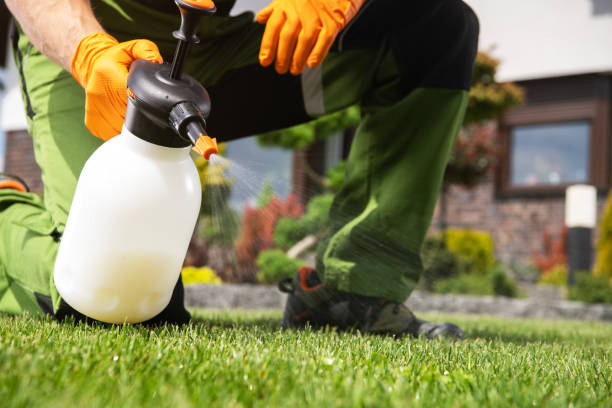 Best Residential Pest Control  in South San Jose Hills, CA