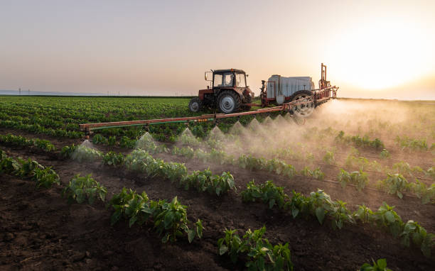 Professional Pest Control in South San Jose Hills, CA