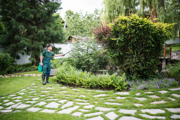 Best Affordable Pest Control Services  in South San Jose Hills, CA