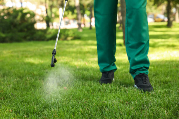Best Affordable Pest Control Services  in South San Jose Hills, CA