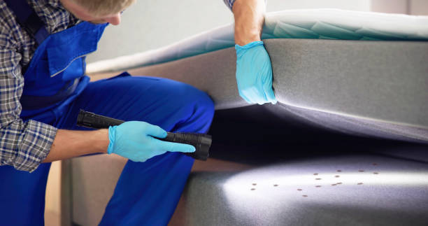 Best Cockroach Control Services  in South San Jose Hills, CA