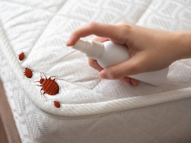 Best Commercial Pest Control Services  in South San Jose Hills, CA