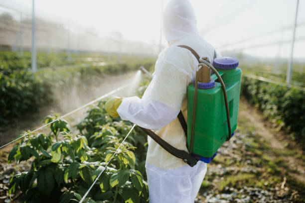 Best Pest Removal Services  in South San Jose Hills, CA